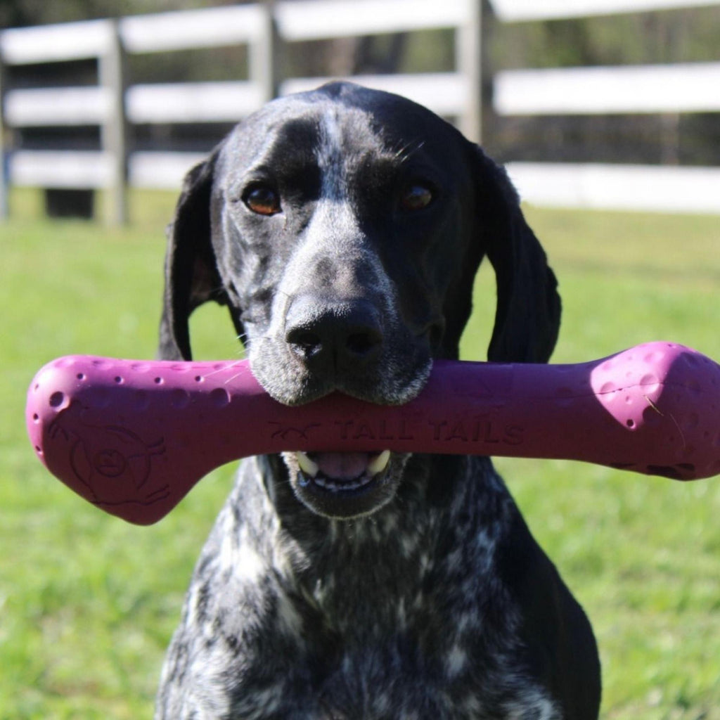 Tall Tails Dog Goat Bone Purple 12 Inch Default Title