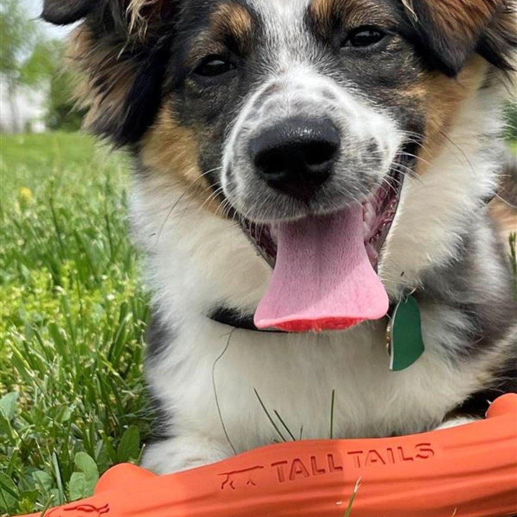 Tall Tails Dog Goat Fetch Stick Orange 10 Inch Default Title