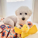 Territory Dog Plush Animated Duck 7.9 Inches
