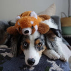 Tall Tails Dog Stuffless Red Panda 16 Inches