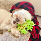 Tall Tails Dog Stuffless Lizard 8 Inches