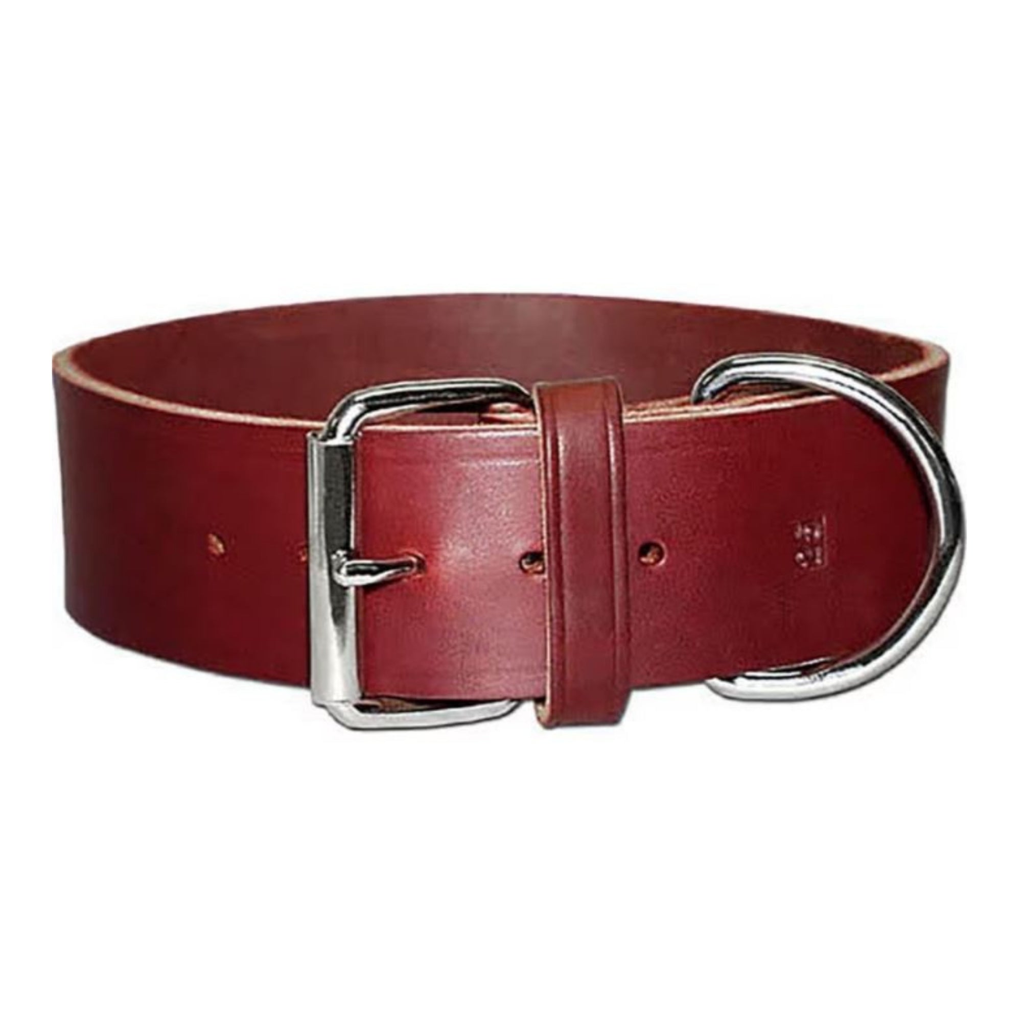 Omni Pet Latigo Leather 1 Ply Dog Collar Burgundy 2 x 27in.
