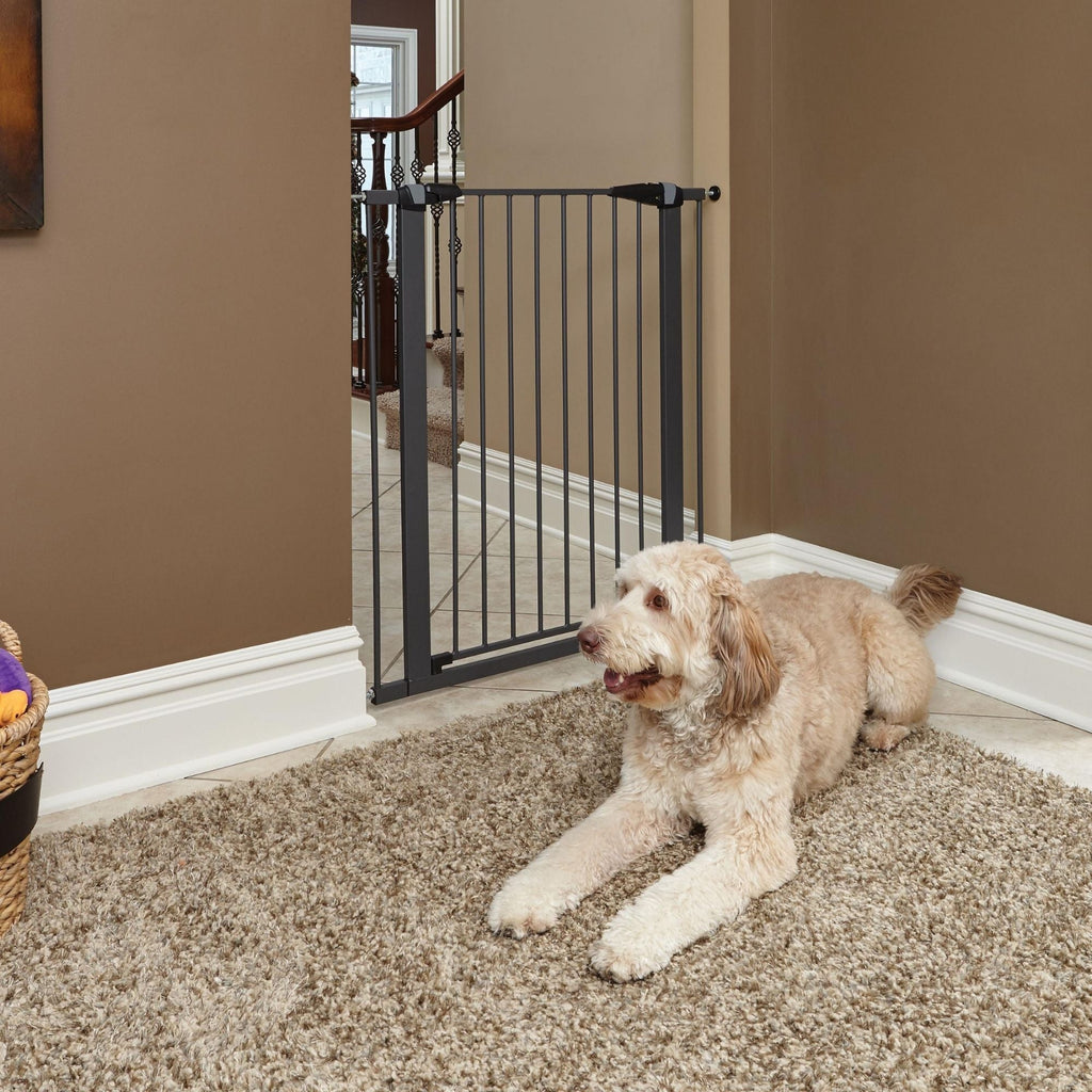 MidWest Homes for Pets Steel Pet Gate Graphite 1ea/39in.