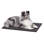 MidWest Homes for Pets Cushioned Dog Crate Mat 1ea/30in.