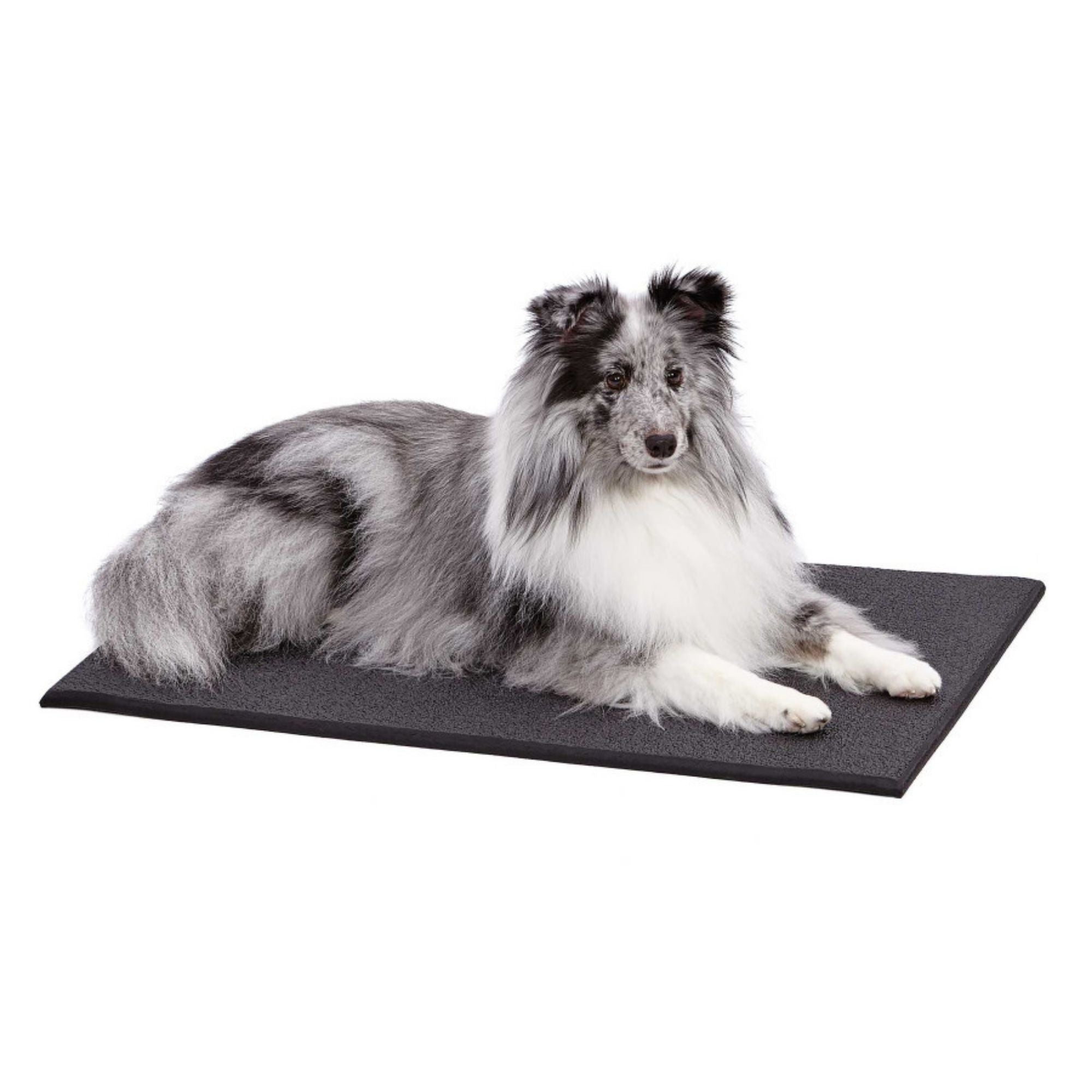 MidWest Homes for Pets Cushioned Dog Crate Mat 1ea/30in.