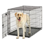 MidWest Homes for Pets Contour Single Door Dog Crate 1ea/42in.