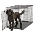 MidWest Homes for Pets Contour Single Door Dog Crate 1ea/48in.