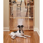 MidWest Homes for Pets Wood Pet Gate w/ Wire Mesh 1ea/32in.
