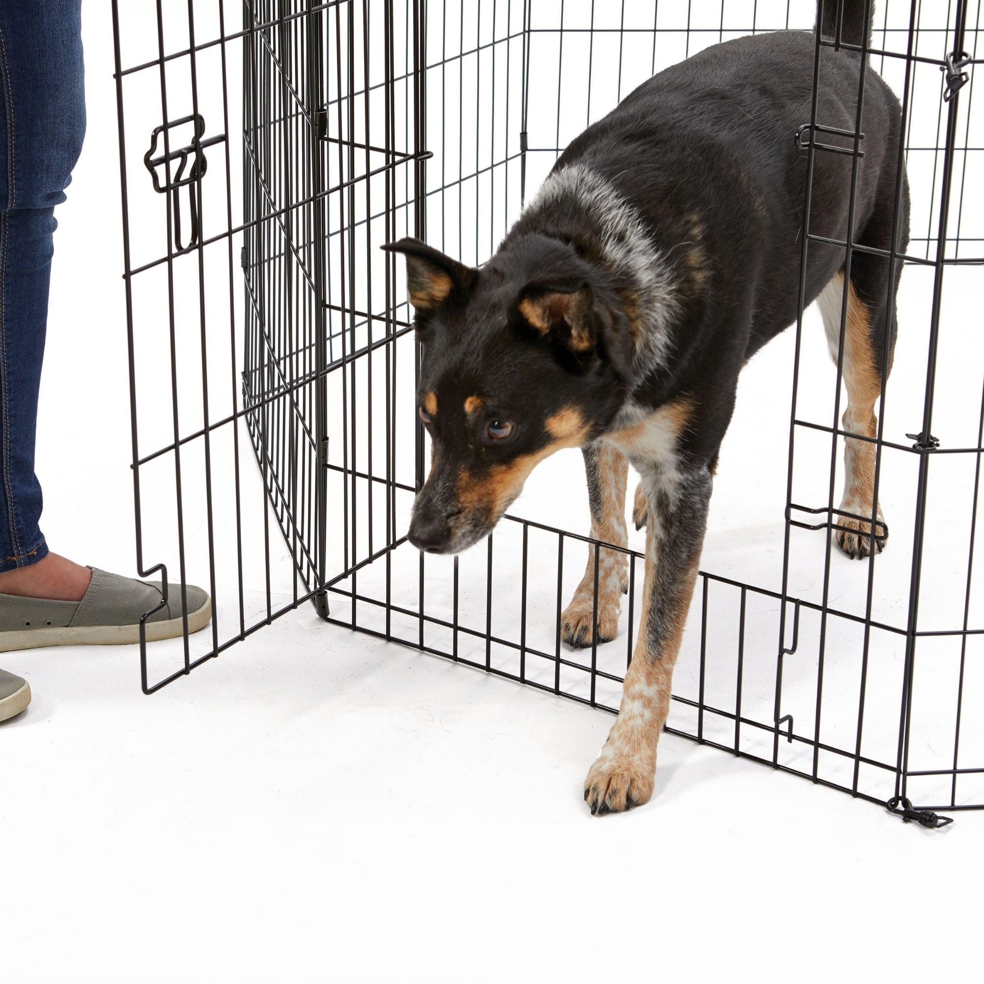 MidWest Homes for Pets Contour Exercise Pen w/ Door 1ea/24in.