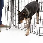 MidWest Homes for Pets Contour Exercise Pen w/ Door 1ea/36in.