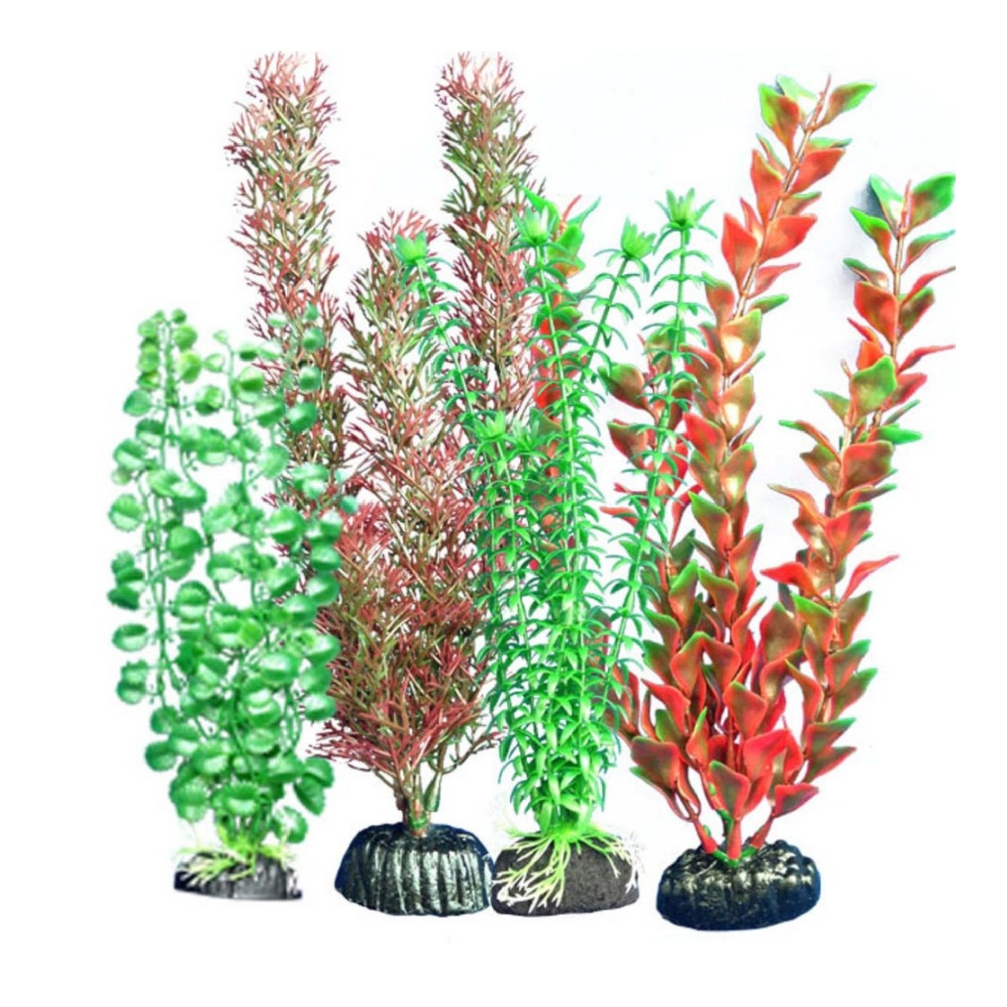 Weco Products Freshwater Aquarium Plant 104 Assorted, 1ea/Multipack