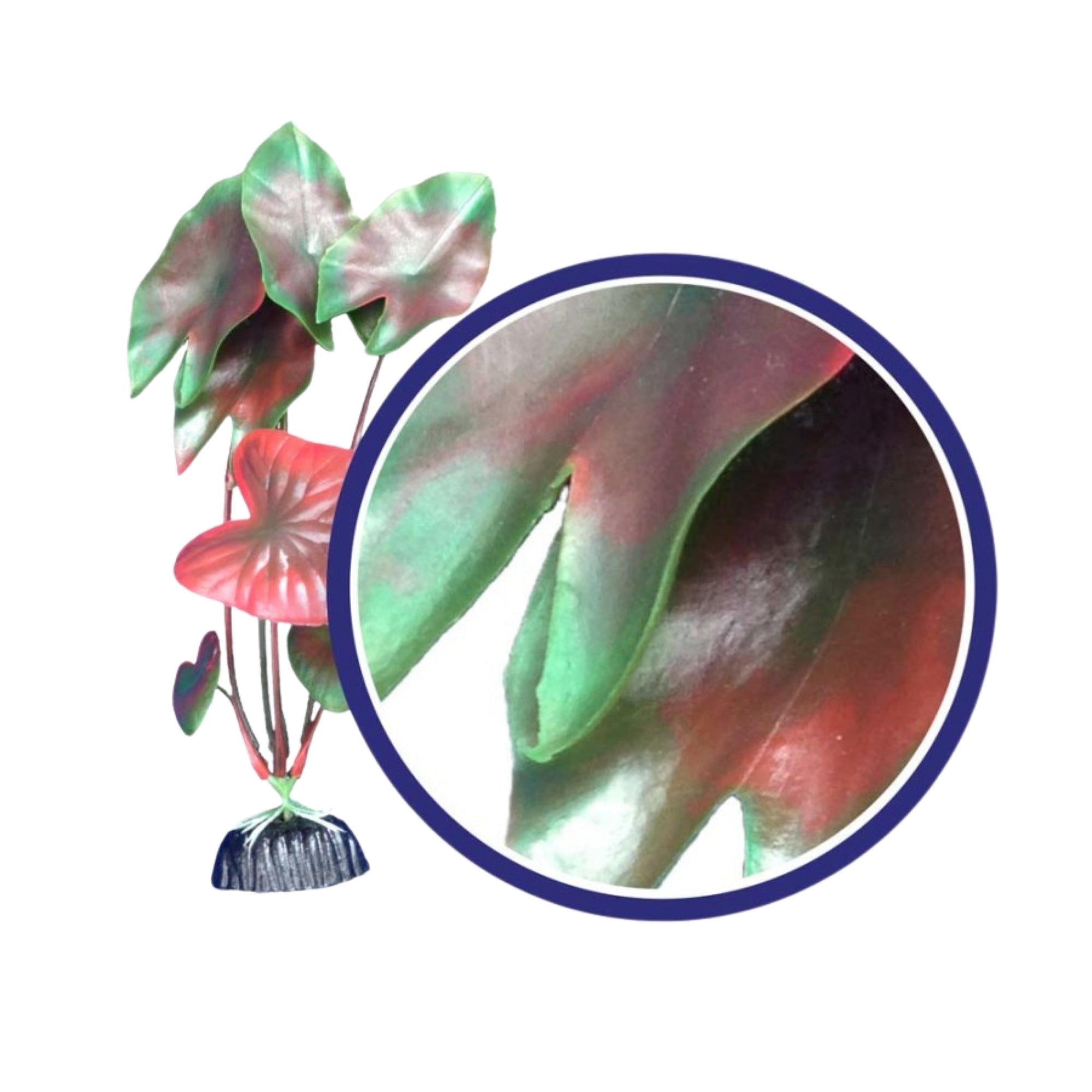 Weco Products Freshwater Series Tiger Lotus Aquarium Plant Red, 1ea/6 in