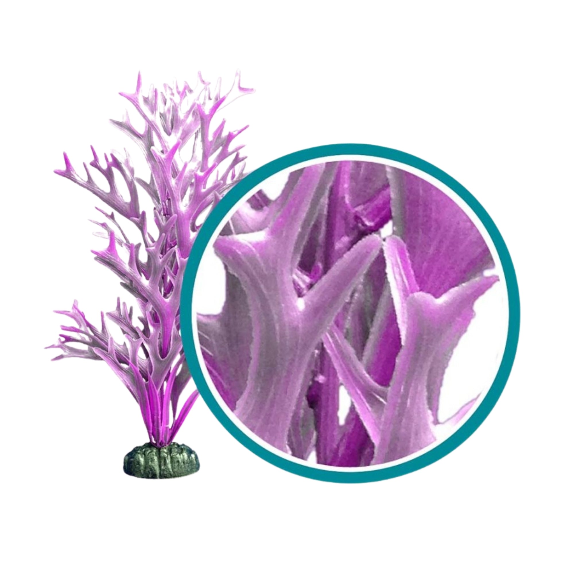 Weco Products Marine Pro Series Giant Kelp Aquarium Plant Purple, 1ea/6 in, Giant