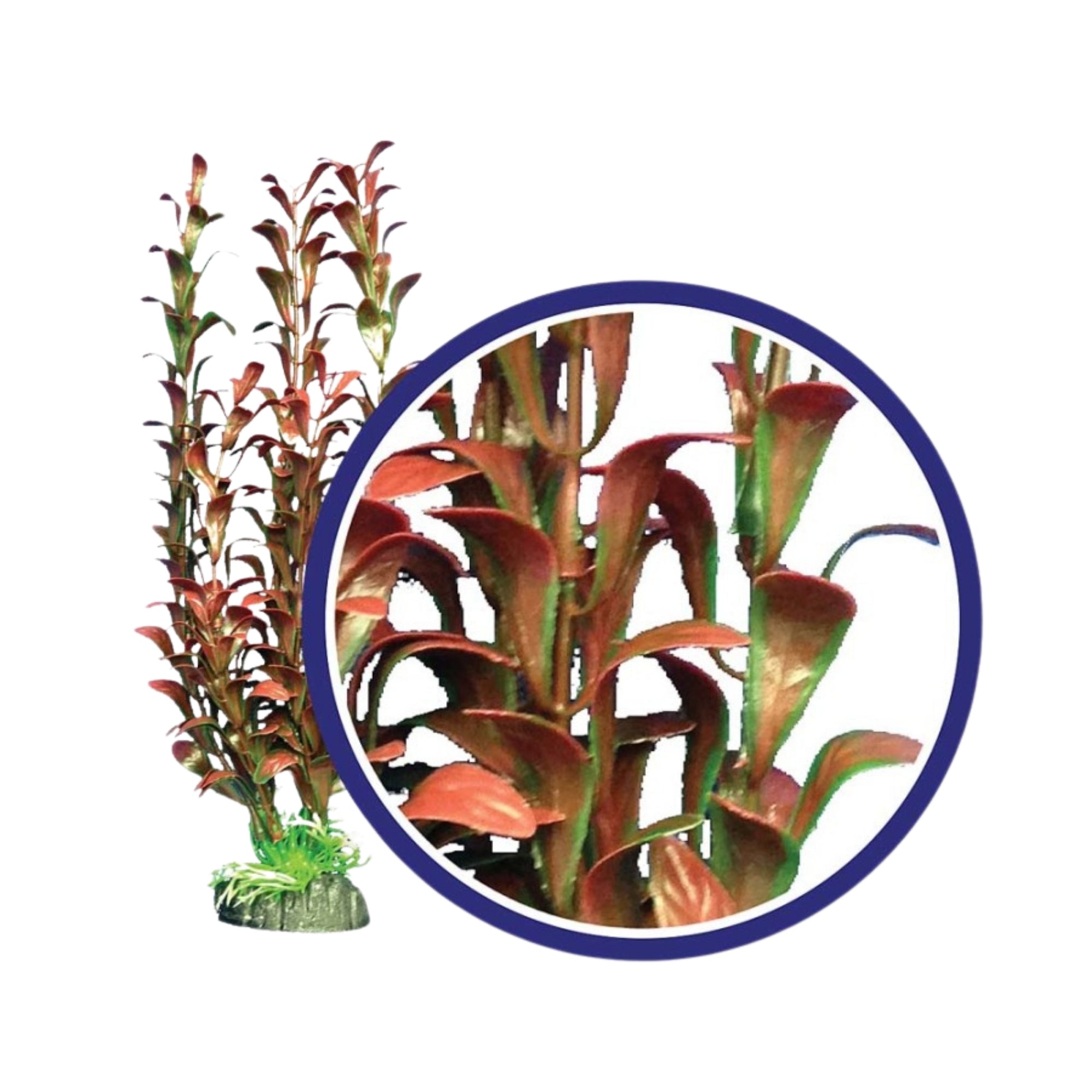 Weco Products Freshwater Series Hygrophilia Aquarium Plant Red, 1ea/9 in