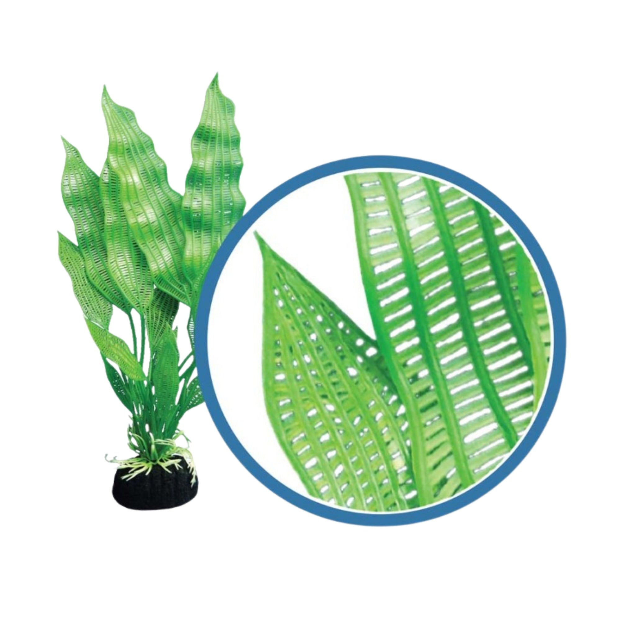 Weco Products Freshwater Pro Series Madagascar Lace Aquarium Plant Green, 1ea/9 in