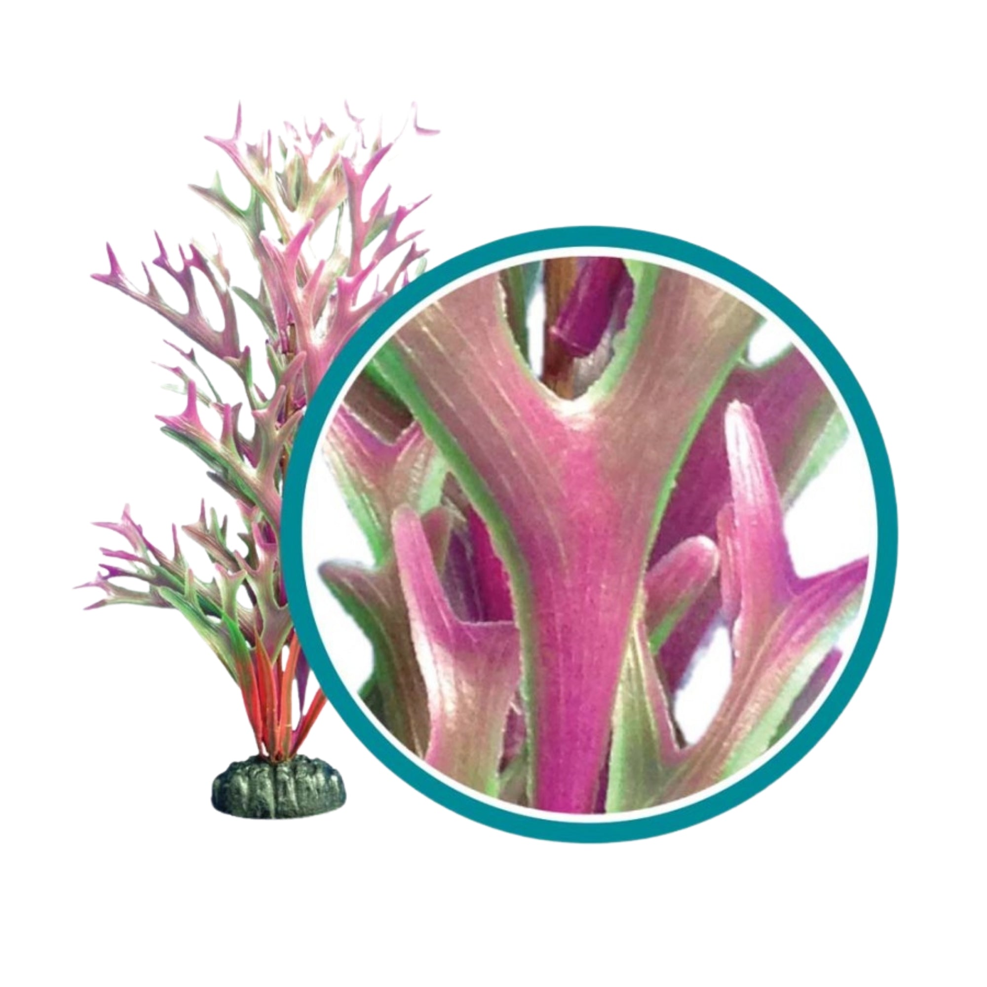 Weco Products Marine Pro Series Giant Kelp Aquarium Plant Red, 1ea/9 in, Giant