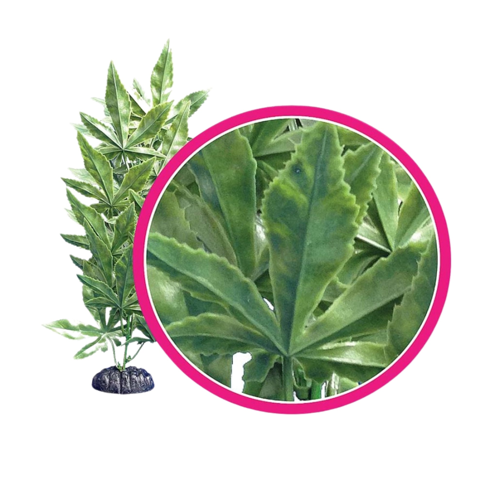 Weco Products Dream Series Hash Aquarium Plant Green, 1ea/9 in