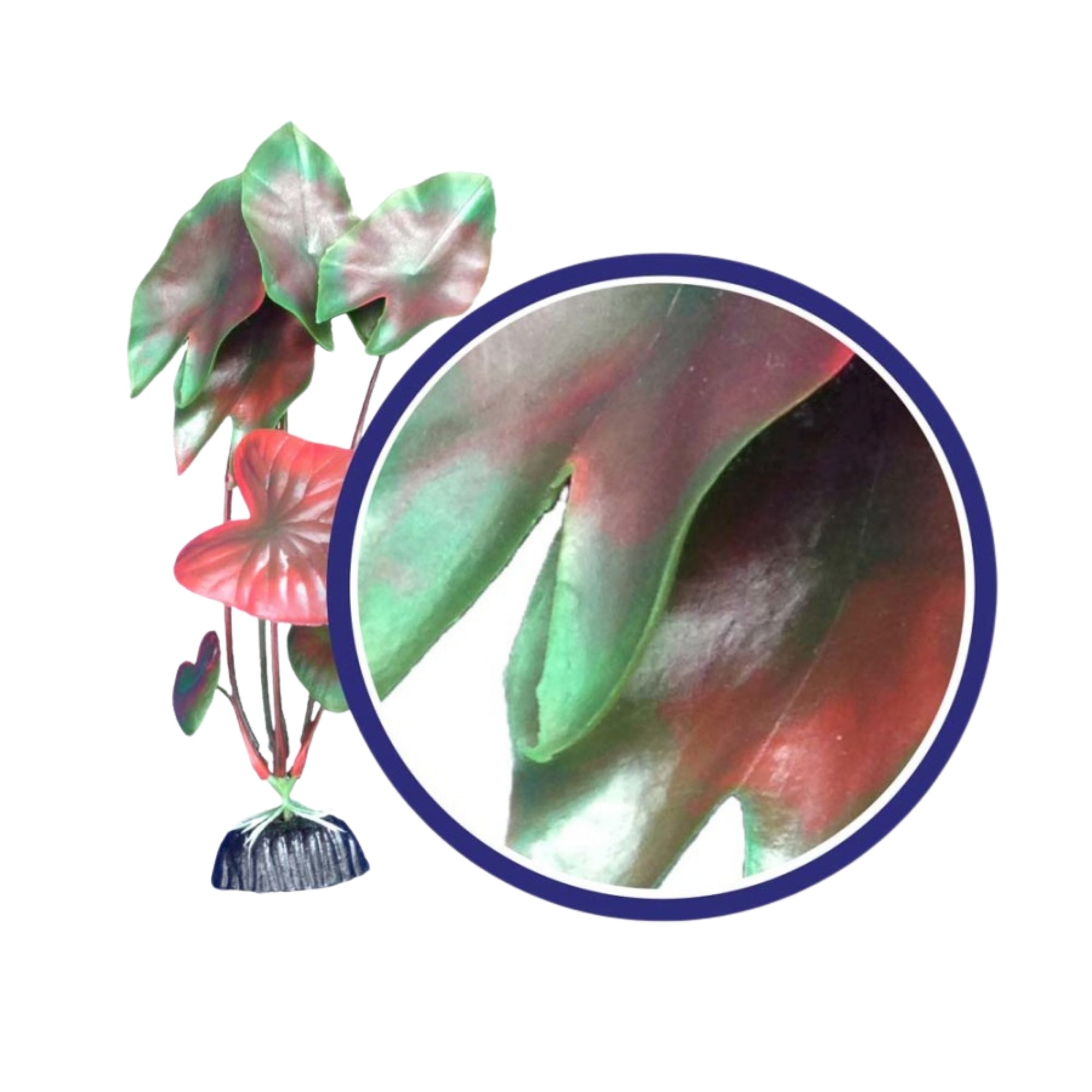 Weco Products Freshwater Series Tiger Lotus Aquarium Plant Red, 1ea/12 in