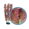 Weco Products Freshwater Series Foxtail Aquarium Plant Red, 1ea/12 in