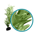 Weco Products Marine Pro Series Giant Kelp Aquarium Plant Green, 1ea/12 in, Giant