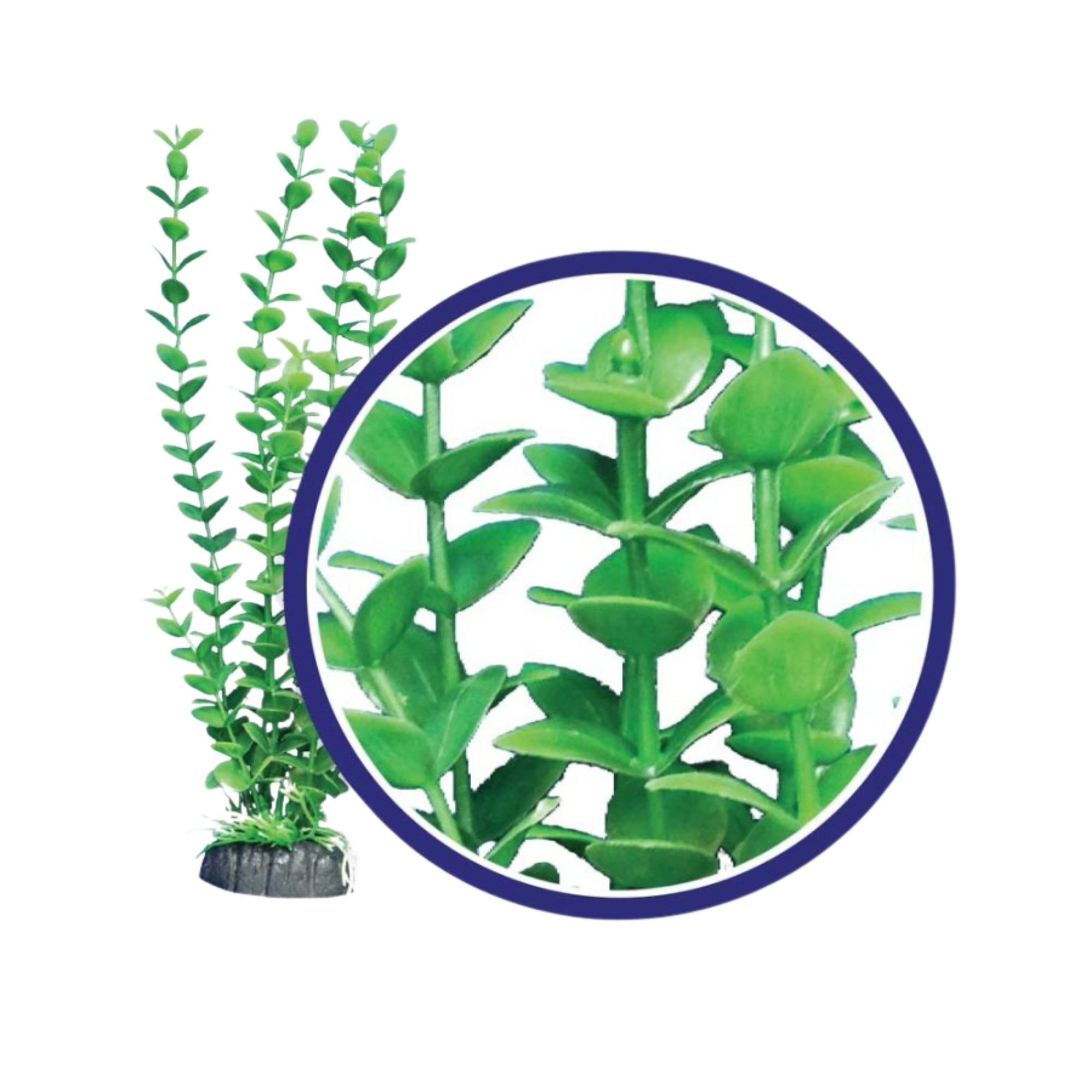 Weco Products Freshwater Series Bacopa Aquarium Plant Green, 1ea/18 in