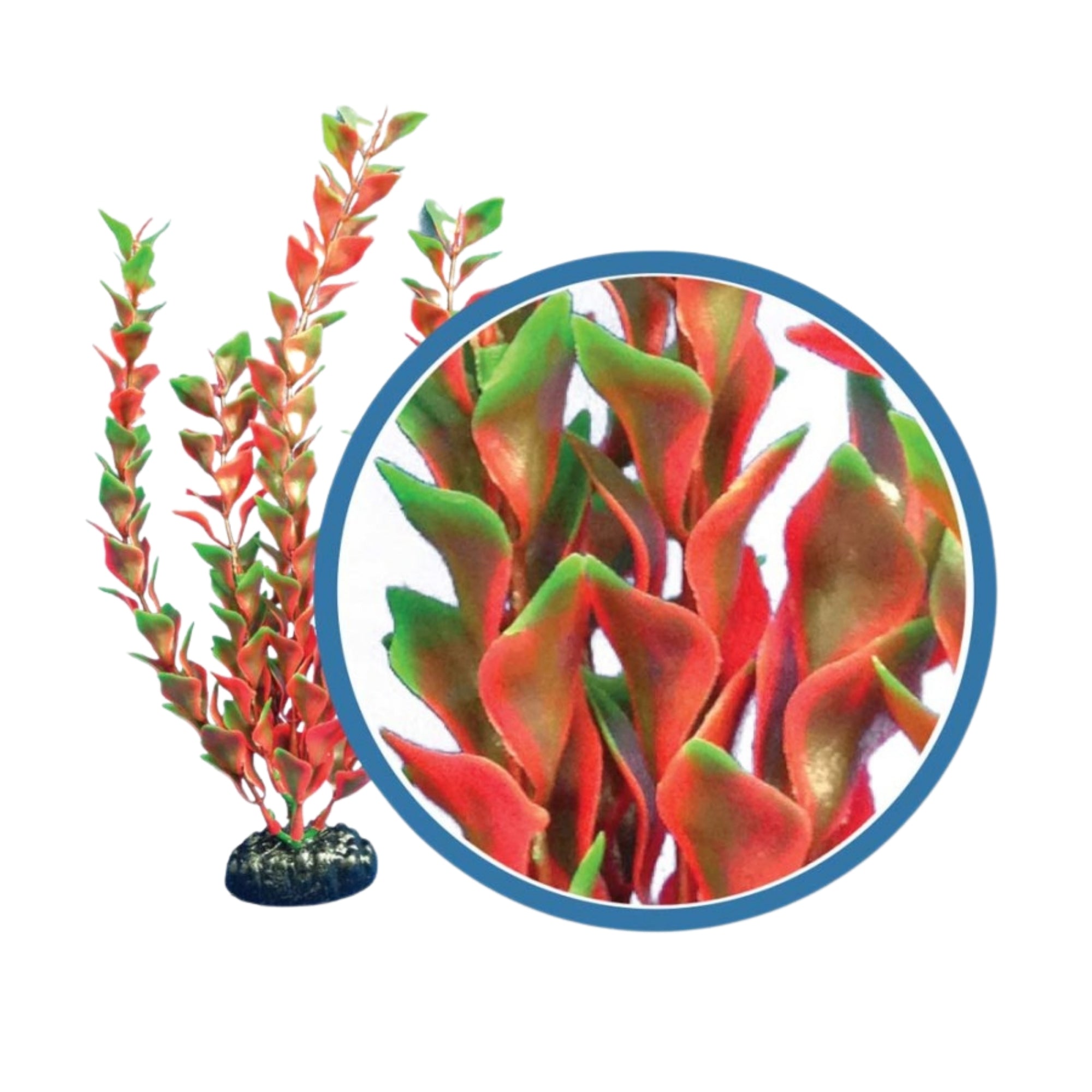 Weco Products Freshwater Pro Series Ludwigia Aquarium Plant Red, 1ea/30 in