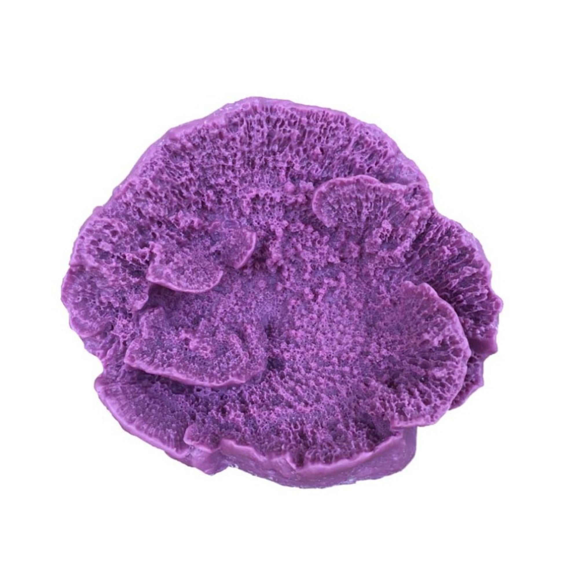 Weco Products South Pacific Coral Capricornis Ornament Lavender, 1ea/SM