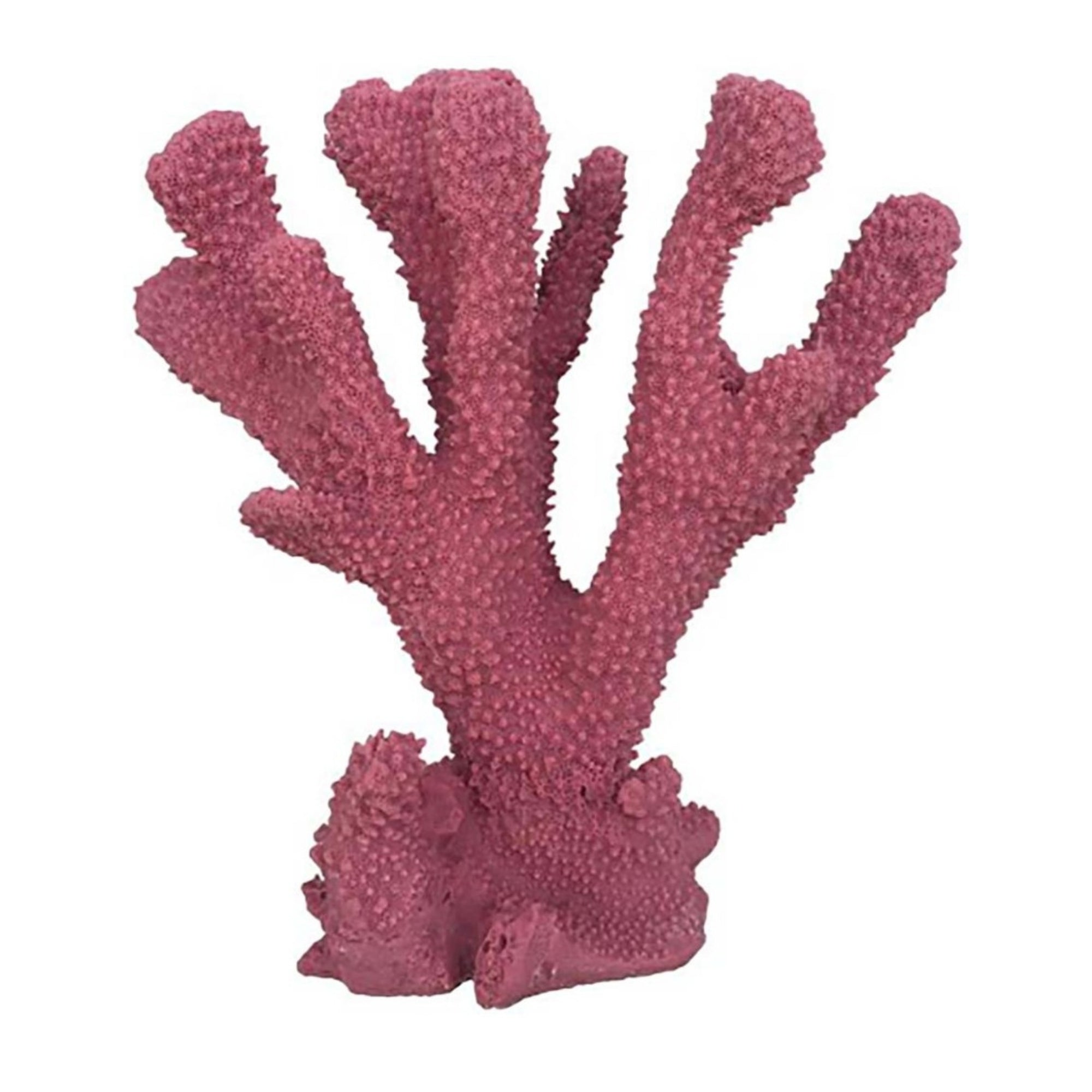 Weco Products South Pacific Coral Cats Paw Ornament Rose, 1ea/MD