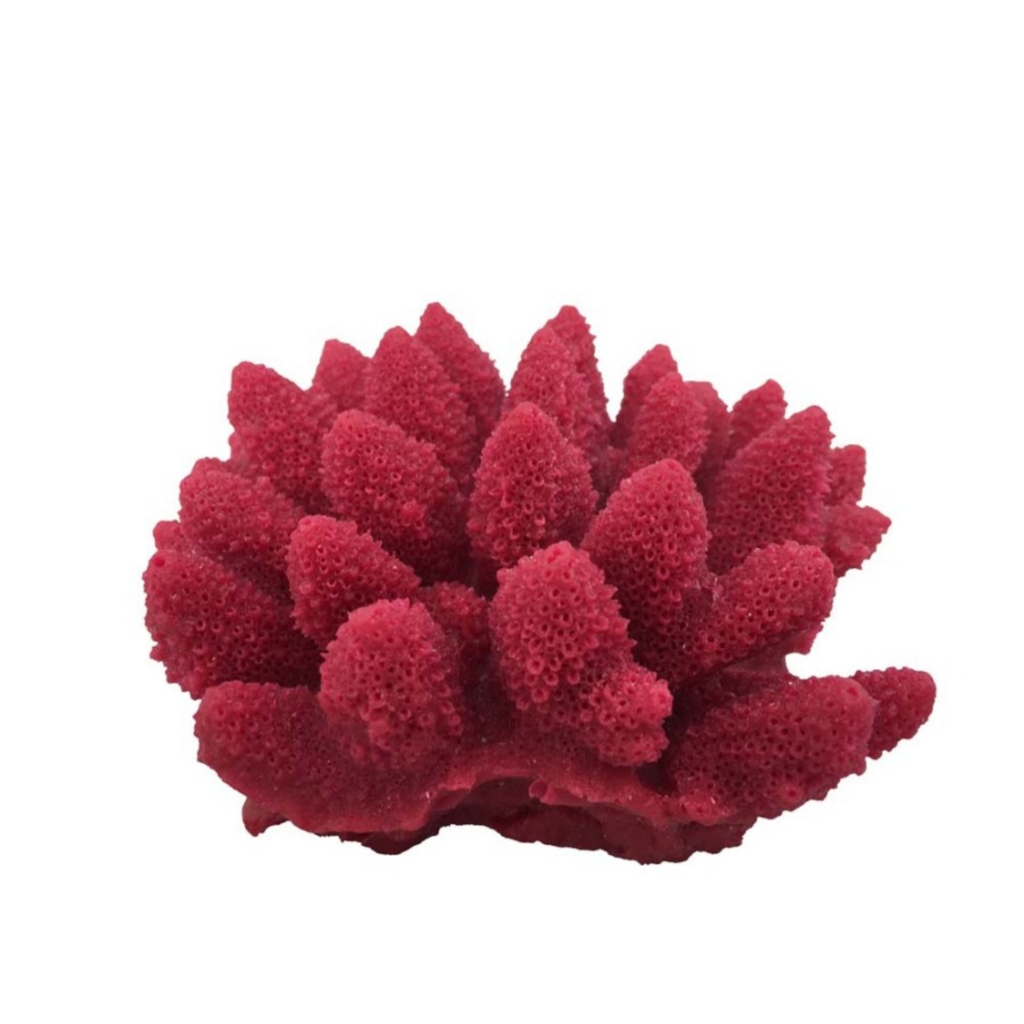 Weco Products South Pacific Coral Acorapora Humilis Ornament Rose, 1ea/SM