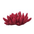 Weco Products South Pacific Coral Acorapora Humilis Ornament Rose, 1ea/MD