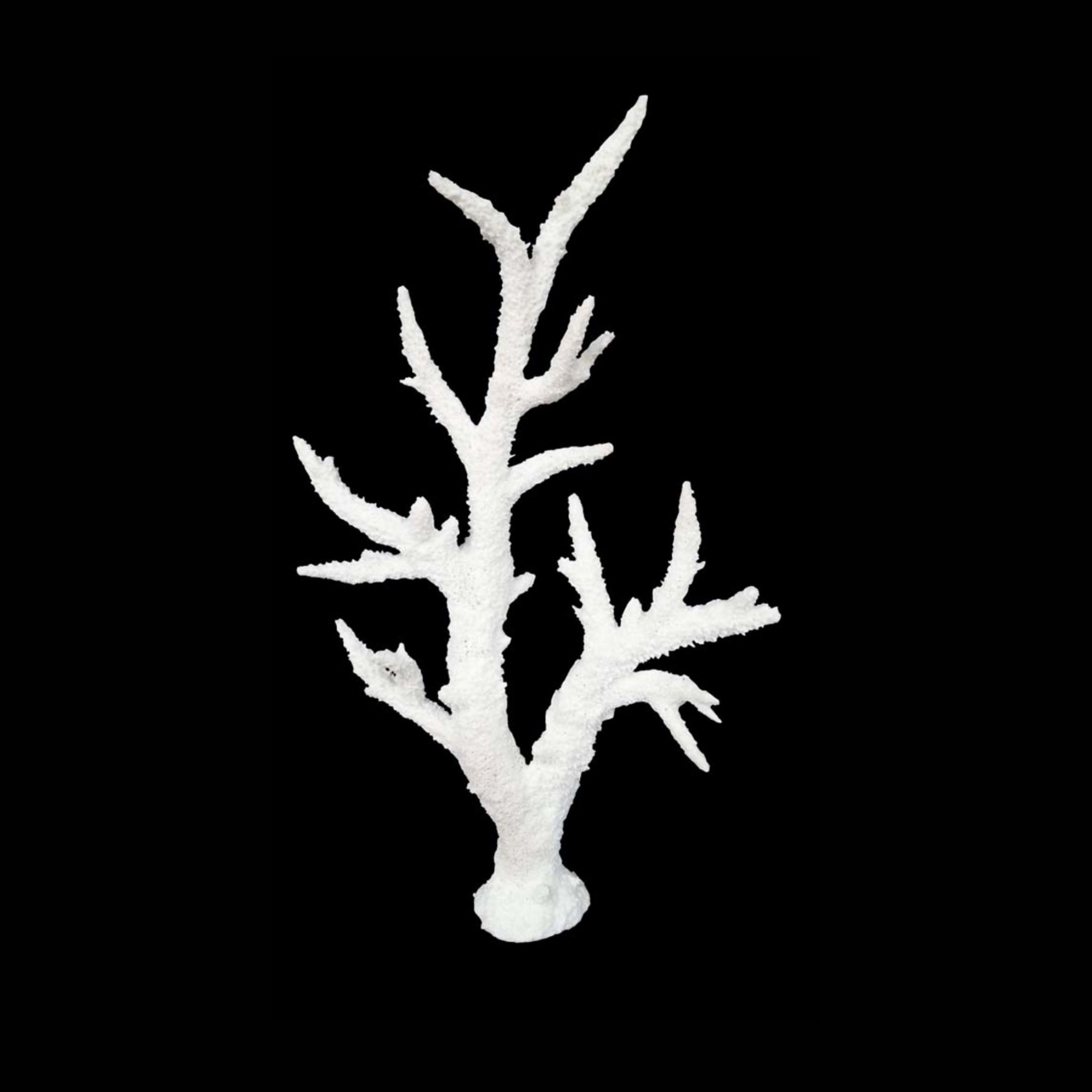 Weco Products South Pacific Coral Staghorn Tall Ornament White, 1ea/MD