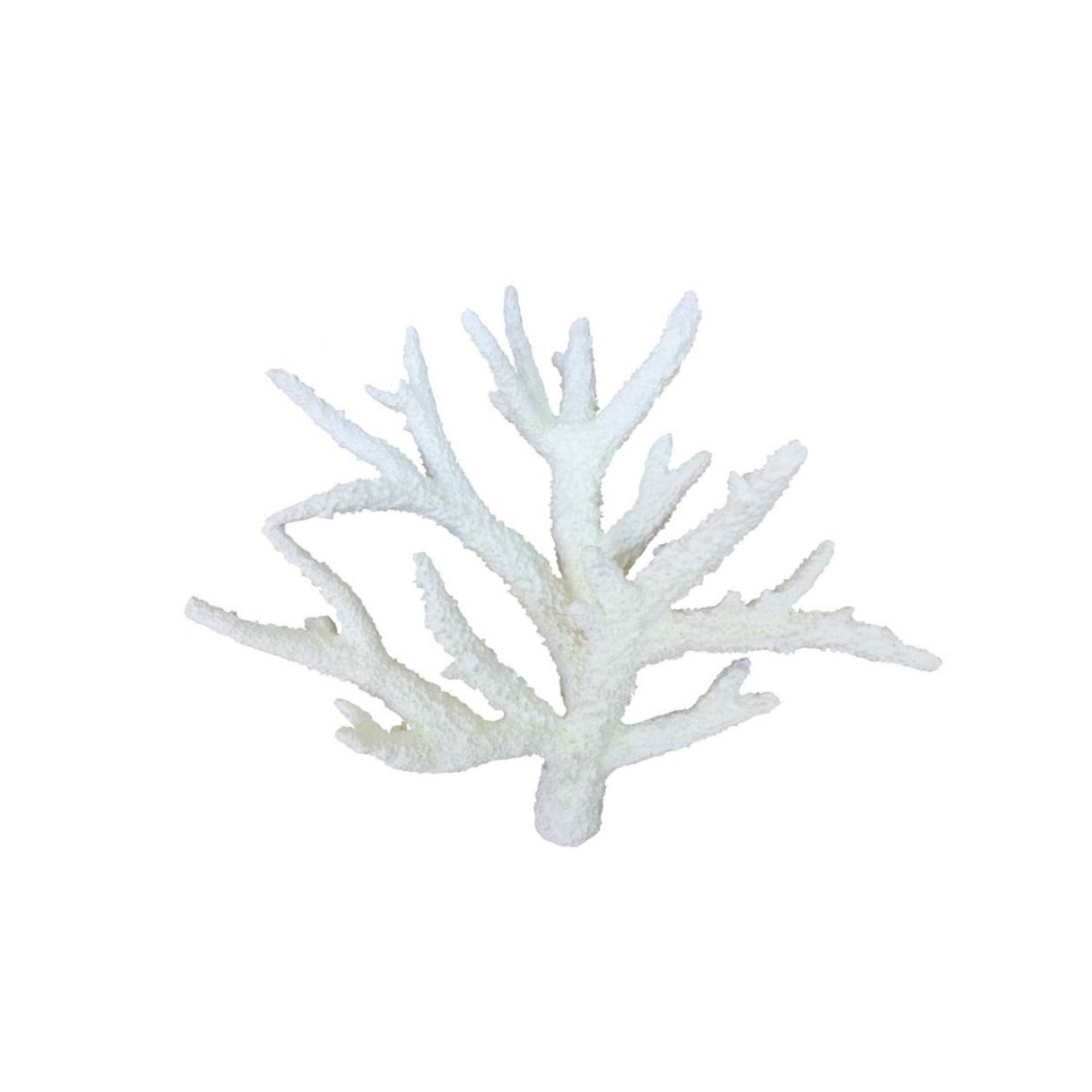 Weco Products South Pacific Coral Staghorn Ornament White, 1ea/MD