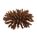 Weco Products South Pacific Coral Tabletop Ornament Brown, 1ea/SM