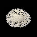 Weco Products South Pacific Coral Round Tabletop Ornament White, 1ea/LG