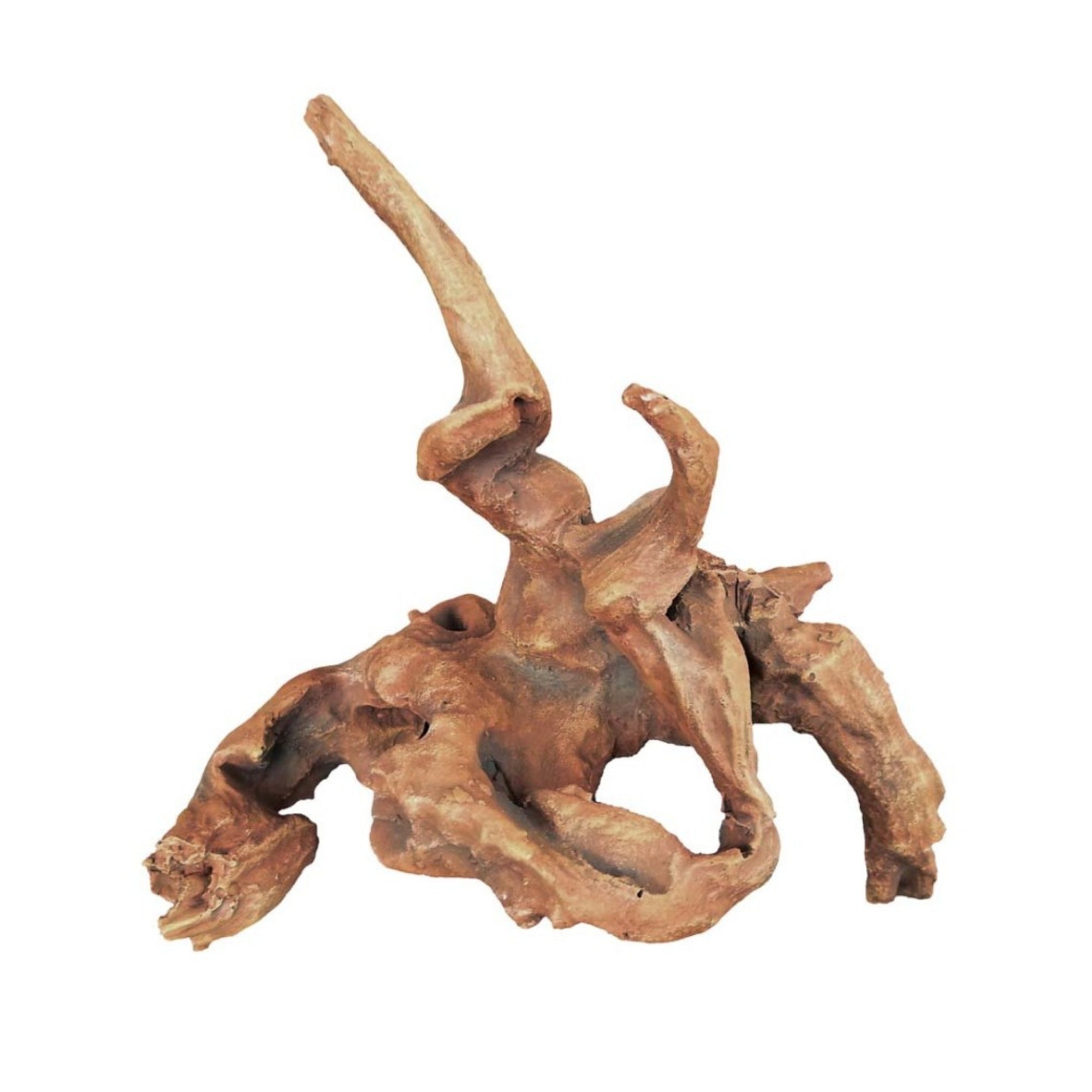 Weco Products Wecorama Aquarama African Wood Brown, 1ea/6.32 in, XS