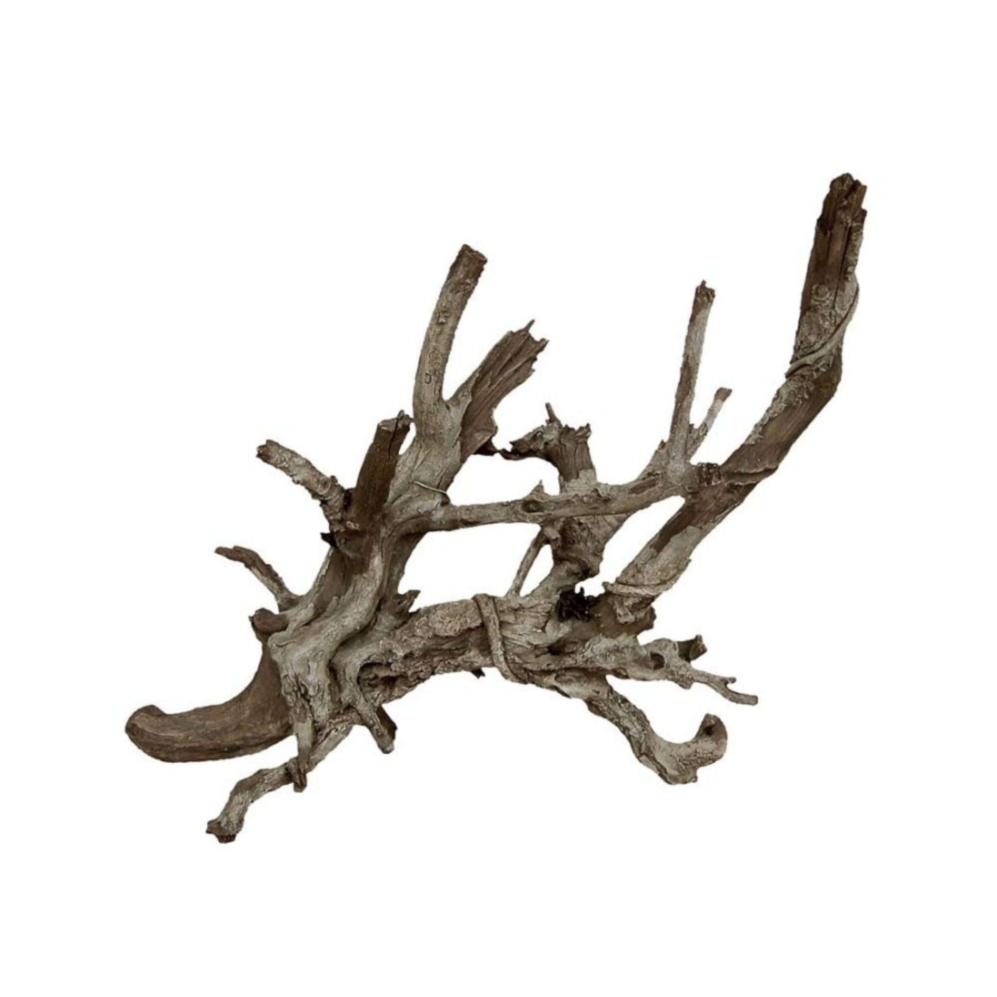 Weco Products Wecorama Aquarama Wicked Branch Show Grey, Brown, 1ea