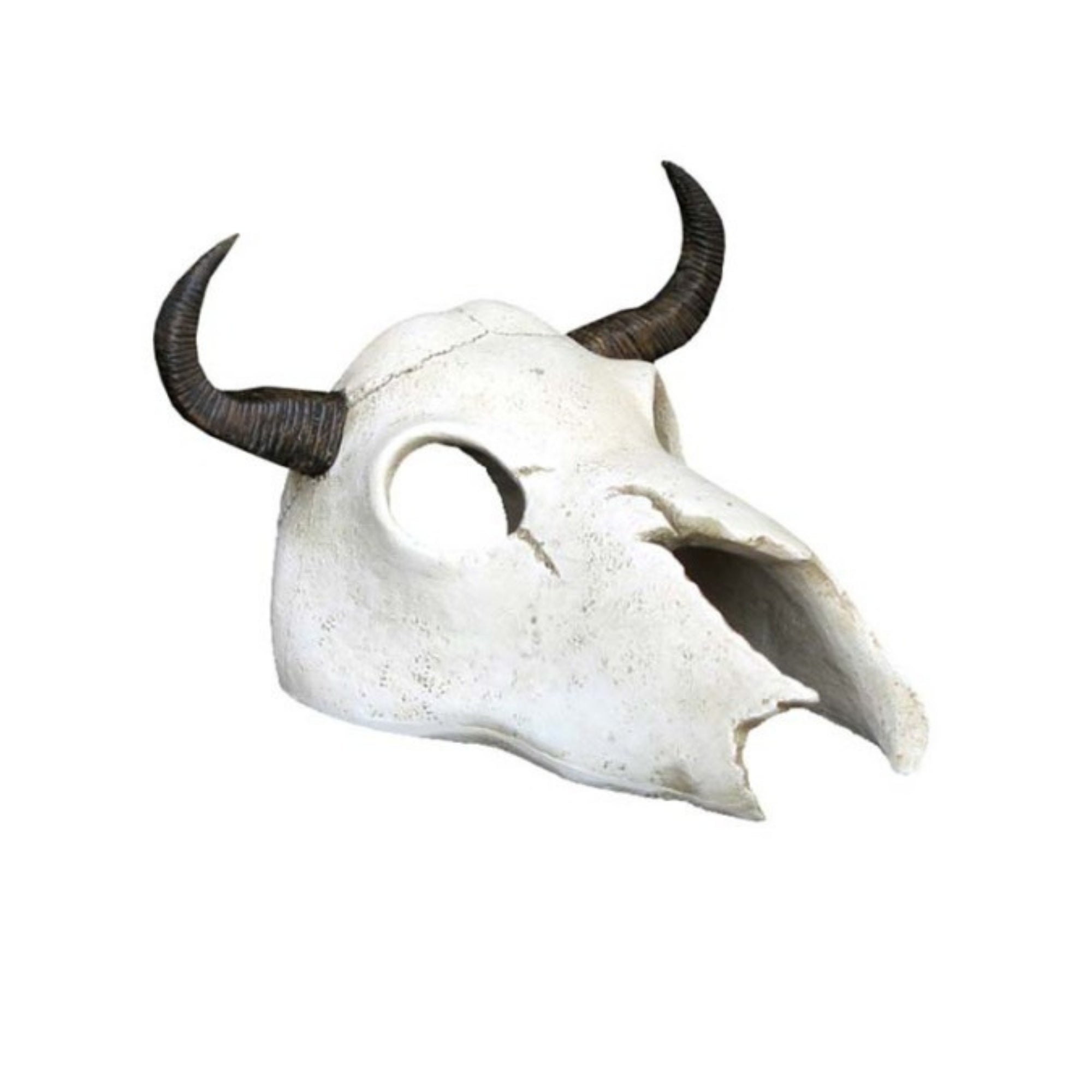 Weco Products Wecorama Catacombs Longhorn Skull Aquarium Ornament Black, White, 1ea