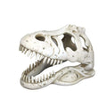Weco Products Wecorama Catacombs T-REX Skull Aquarium Ornament White, 1ea