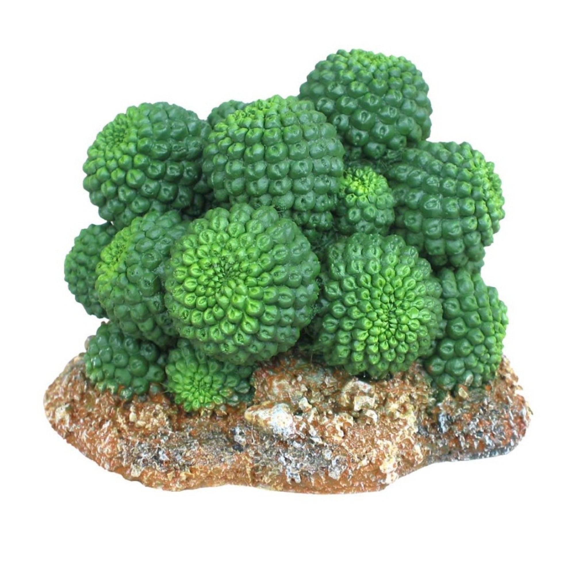 Weco Products Wecorama Badlands Sonoran Cactus Terrarium Ornament Brown, Green, 1ea/2.92 in