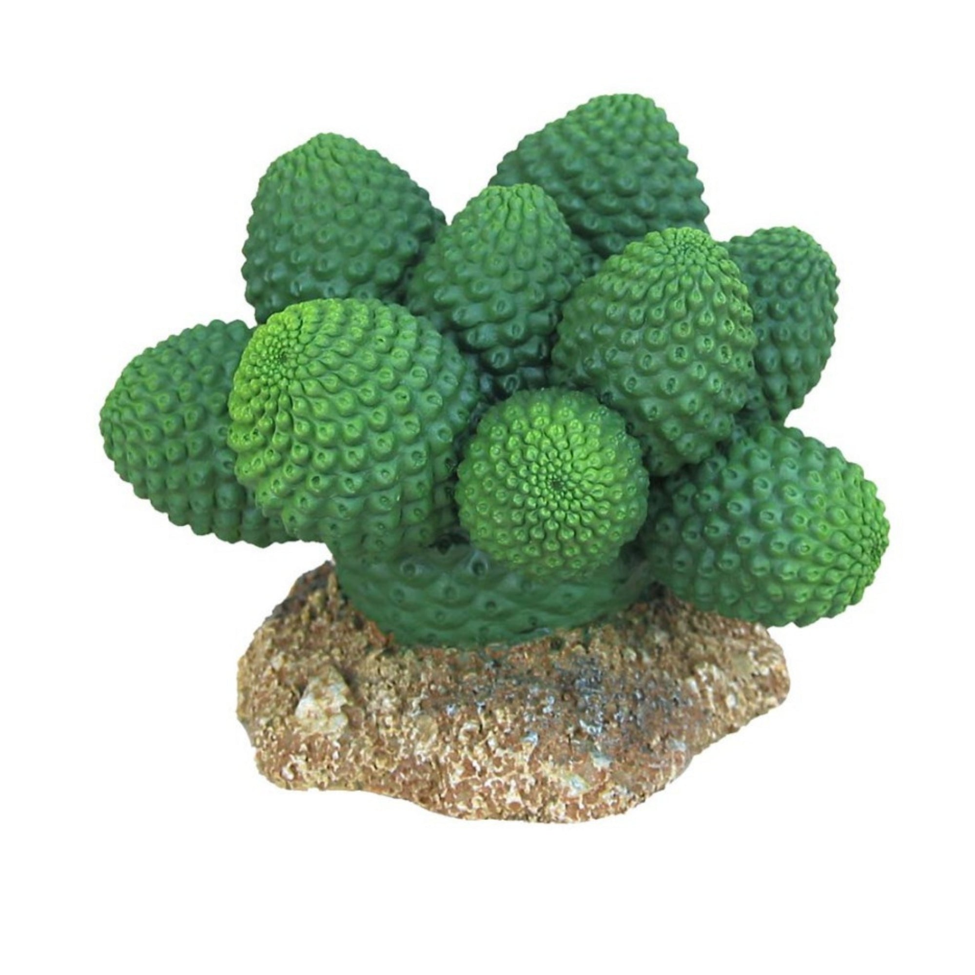 Weco Products Wecorama Badlands Pointed Sonoran Cactus Terrarium Ornament Brown, Green, 1ea/3 in