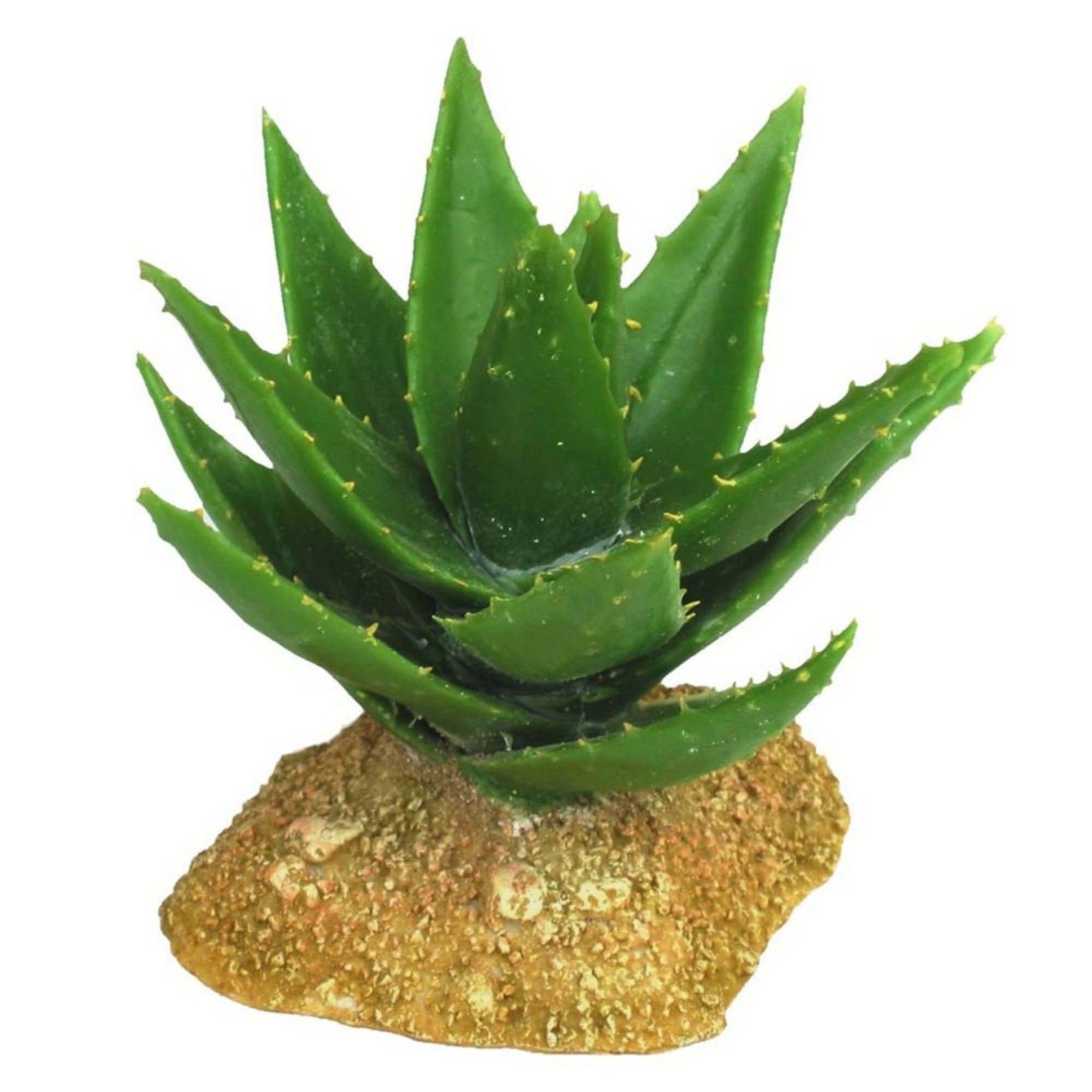 Weco Products Wecorama Badlands Aloe Vera Terrarium Ornament Brown, Green, 1ea/5 in