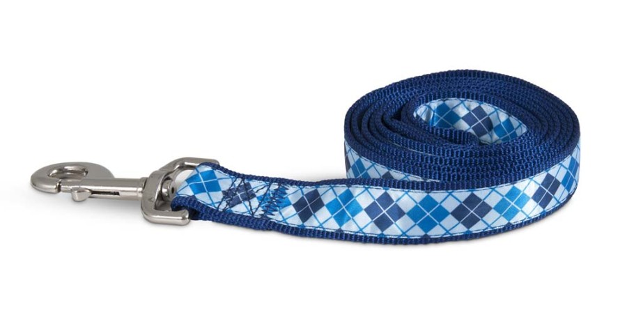 Aspen Ribbon Overlay Dog Leash Blue 1ea/1 In X 6 ft, One Size
