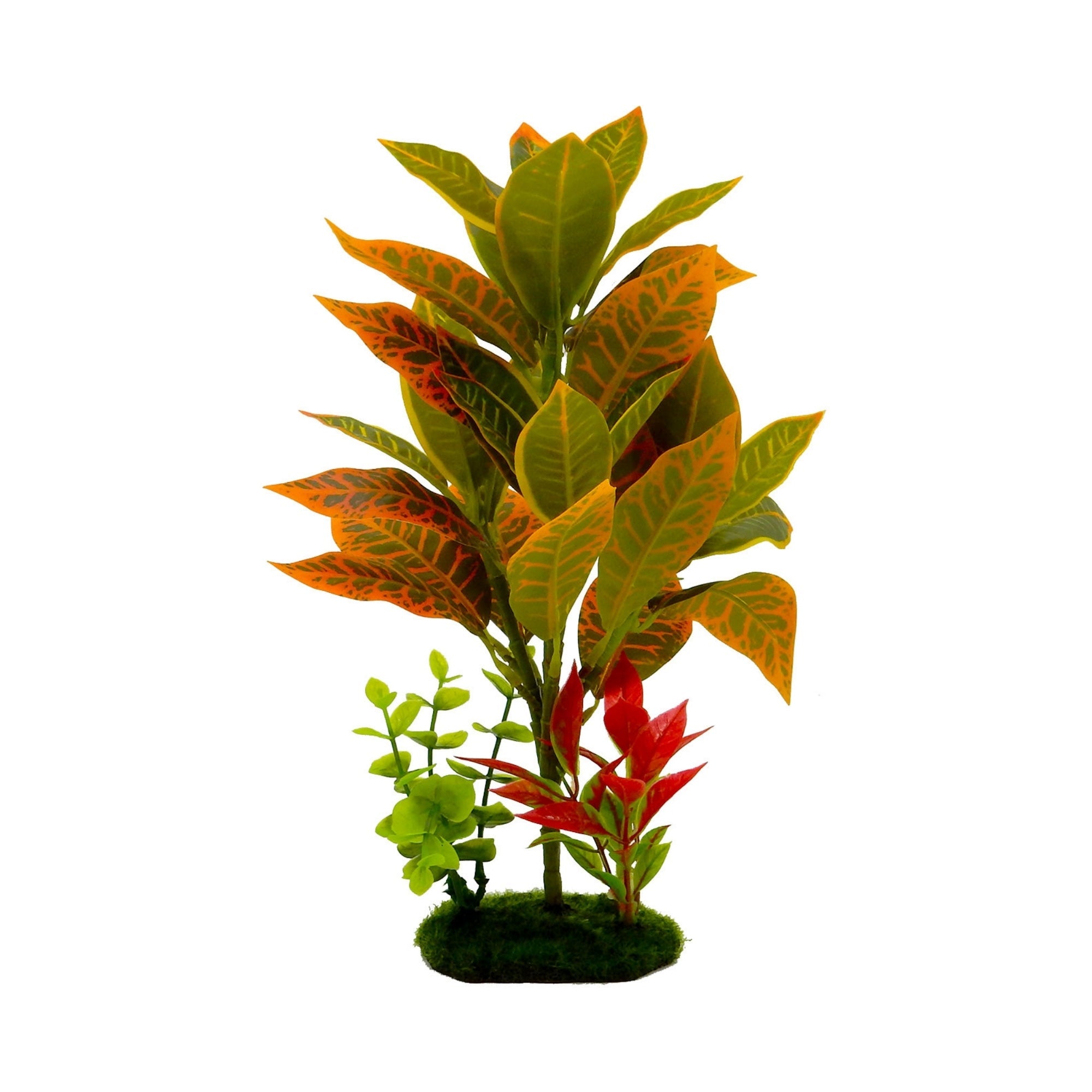 Blue Ribbon Pet Products Tropical Gardens Croton Petra Aquarium Plant 1ea/11.5in.