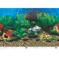 Penn-Plax Roll-A-Scene Double Sided Background Multi-Color 1ea/31.75 In X 50 ft