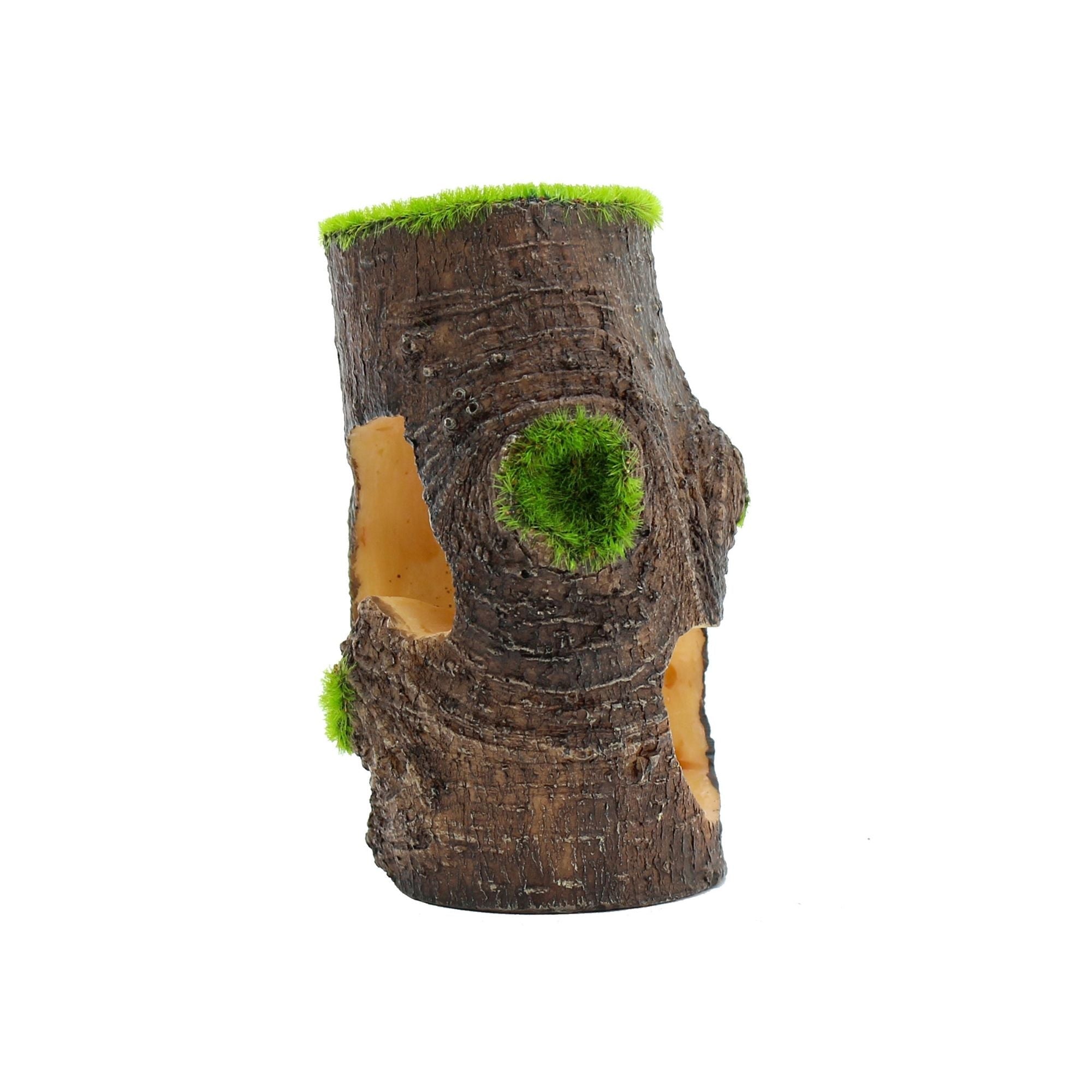 Penn-Plax Aqua-Floras Living Tree Base Aquarium Ornament 4ea/One Size