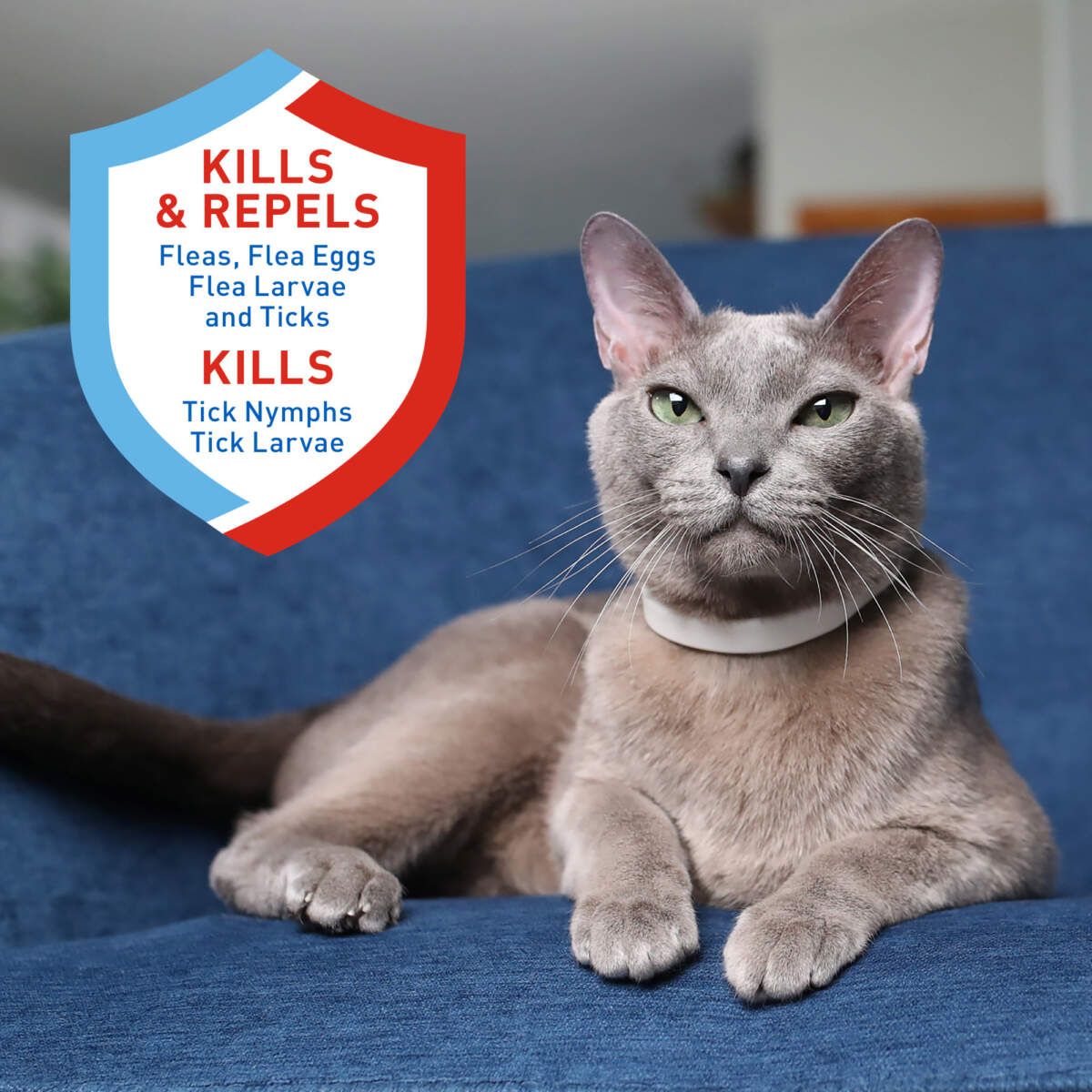 Adams Plus Flea  Tick Collar for Cats 1ea/1 pk