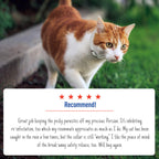 Adams Plus Flea  Tick Collar for Cats 1ea/1 pk