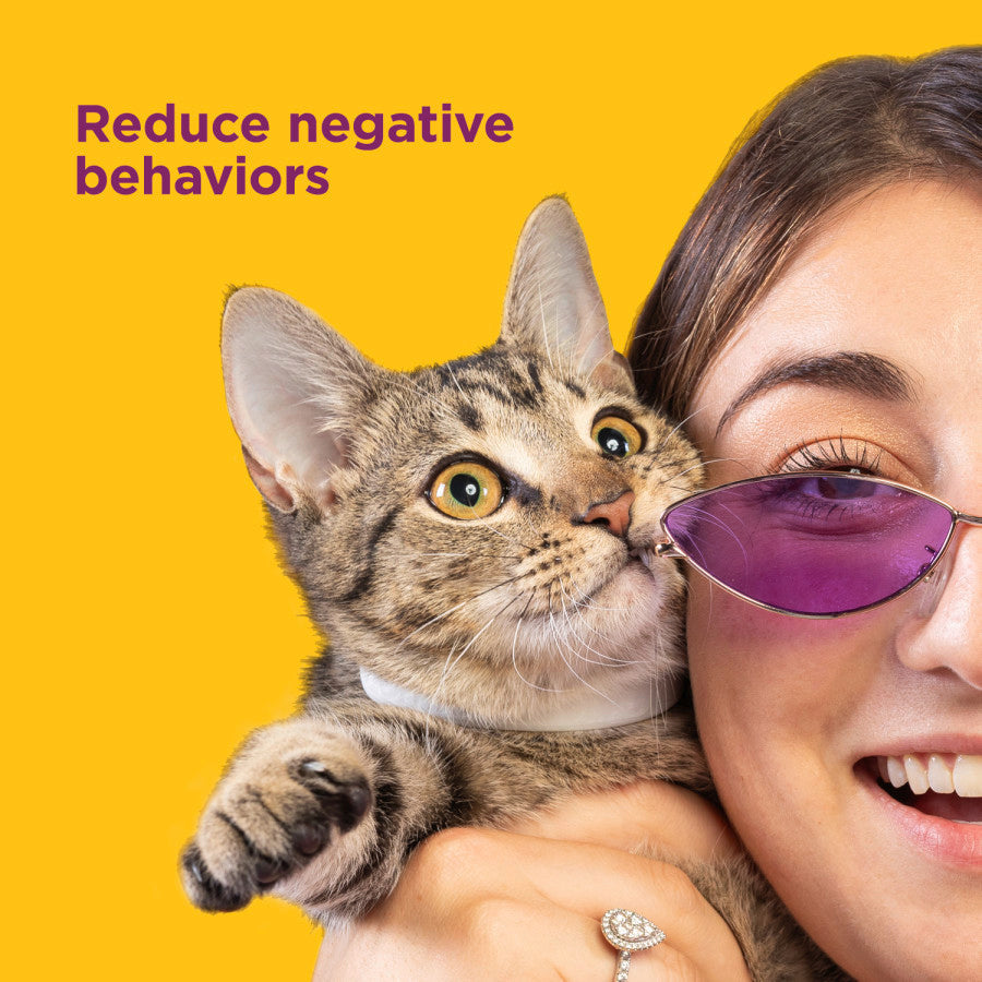 Comfort Zone Comfort Zone Cat Calming Collar White, 1ea/Single pk