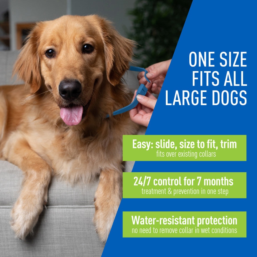 Adams Plus Flea  Tick Collar for Dogs, Small 1ea/Large