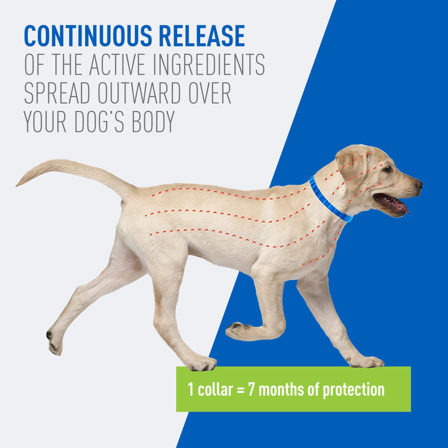 Adams Plus Flea  Tick Collar for Dogs, Small 1ea/Large